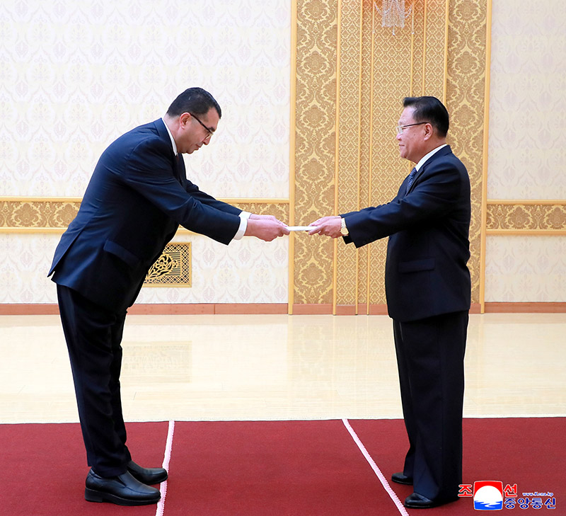 Credentials of Palestinian ambassador accepted