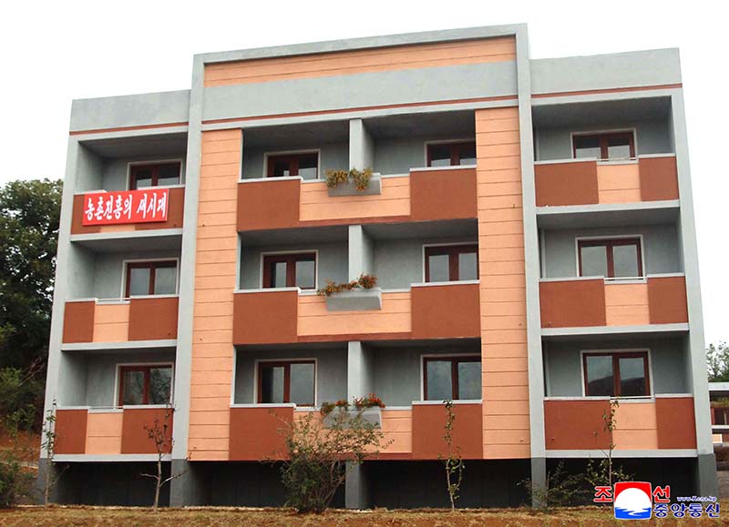 New houses built at farm in Anju 