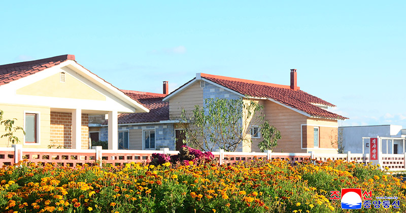 New houses built in Hamhung