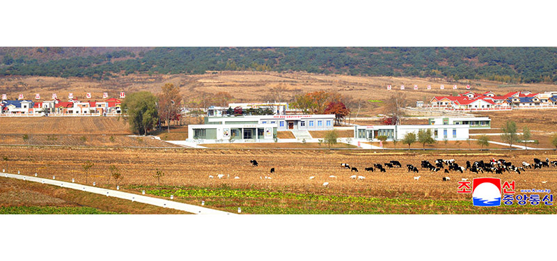 Public buildings built at dairy cattle and goat farm in Rason  