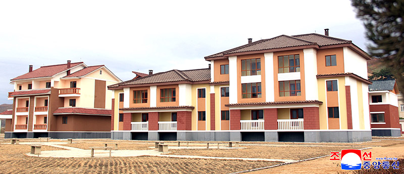 New houses built at Sagu Farm in Chongjin 