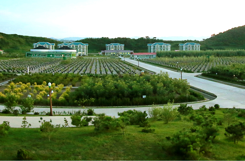 Successes made in forest restoration campaign for 11 years