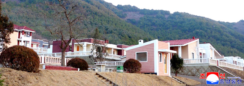 New houses built at farms in North Hwanghae Province