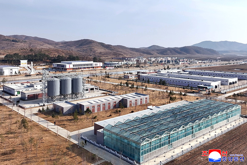 Senior city and county officials visit Samgwang Livestock Farm