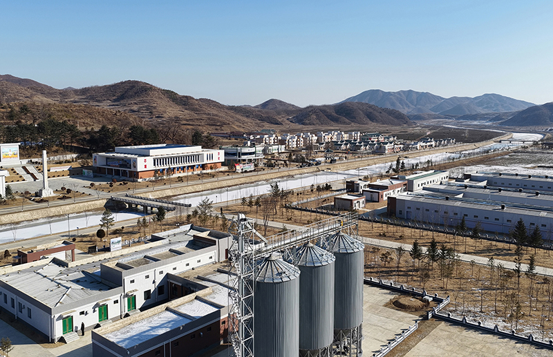 	Model of modern livestock farming, ideal rural town