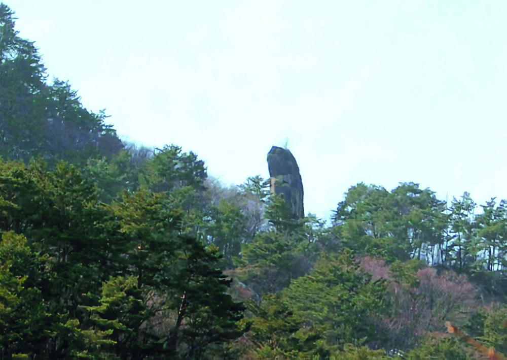 Natural monument—Chonju Rock