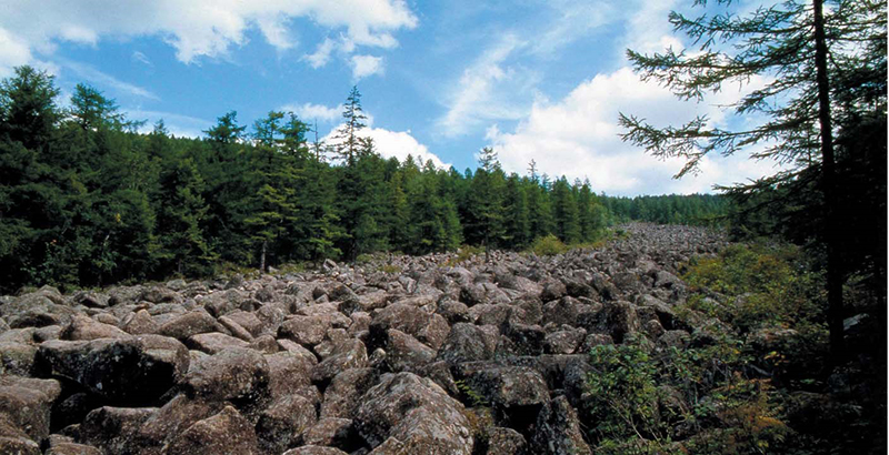 Natural monument—Stone river on Mt Okryon 